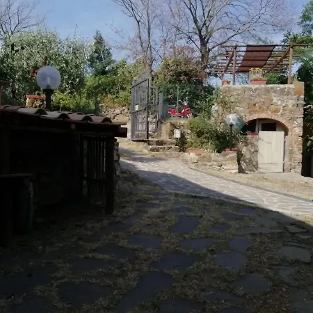 Quercia Grossa